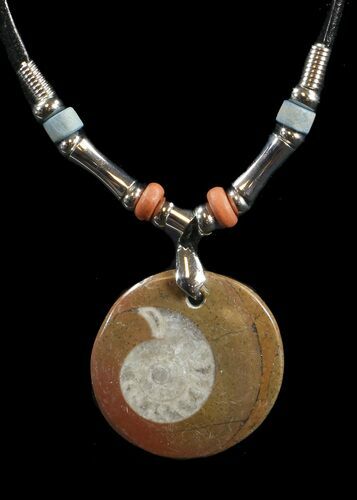 Polished Goniatite Fossil Necklace #43094